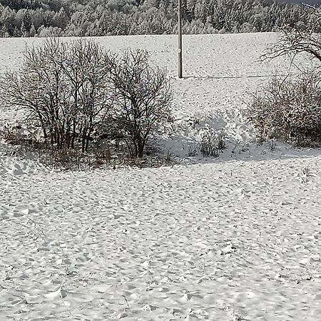 Ubytovani U Babicky Velké Losiny Kültér fotó